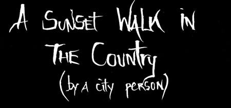 A sunset walk in the country (by a city person) A sunset walk in the country (by a city person)